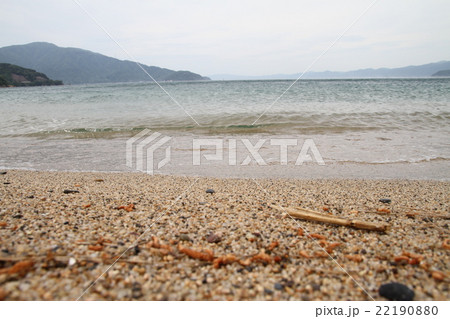 氣比の海岸　波打ち際　（撮影地：福井県敦賀市、天候：曇り） 22190880