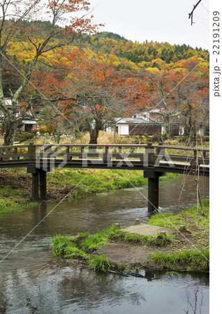 忍野村の紅葉 忍野村の紅葉 22191209