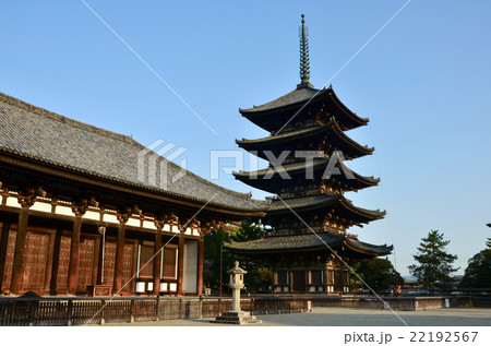 興福寺　五重塔・東金堂（2016.4） 22192567