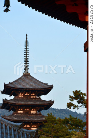 興福寺　五重塔（2016.4） 22192575