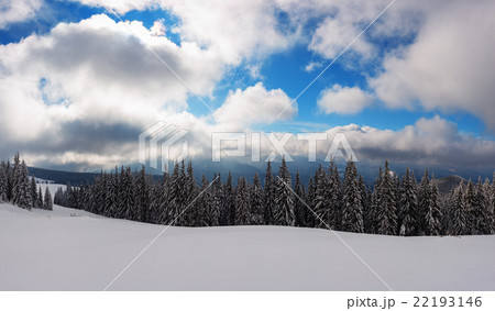 landscape landscape 22193146