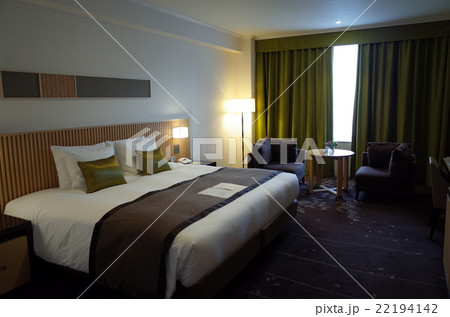 客室_ホテル 客室_ホテル 22194142