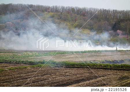 田んぼ　野焼き 22195526