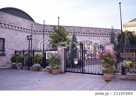 フラワーガーデン 22195989