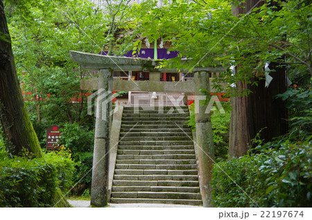 高鴨神社 高鴨神社 22197674