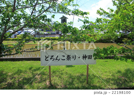 若宮八幡宮(高知) 若宮八幡宮(高知) 22198100