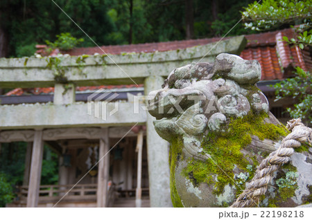 狛犬 狛犬 22198218