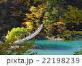 夢の吊橋 22198239