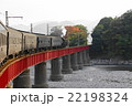 鉄橋を行く蒸気機関車 22198324