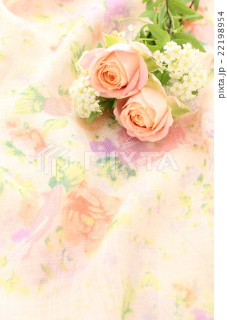 薔薇 背景 薔薇 背景 22198954