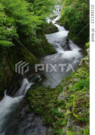 青葉まぶしい初夏　宮崎県高千穂町の名無しの滝 22199210