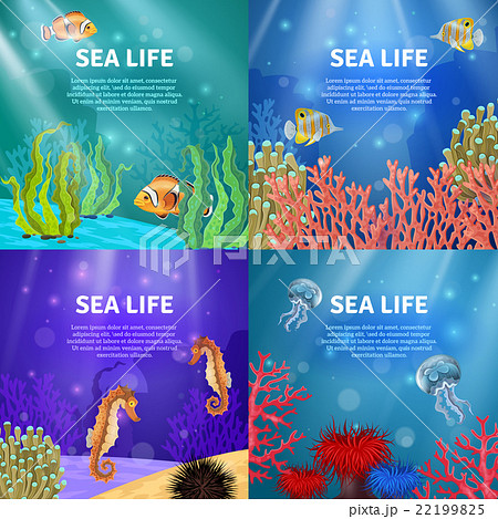 Underwater Landscape Set 22199825