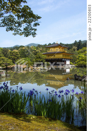 新緑の金閣寺 22200803