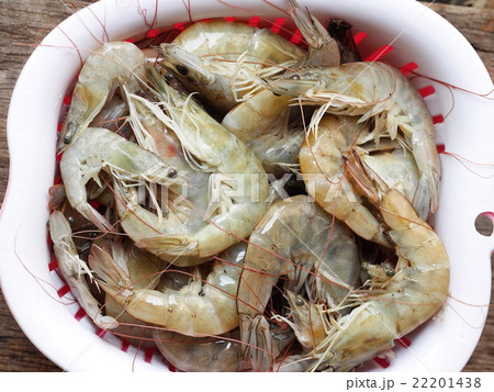 fresh large white shrimps prawns raw uncooked  22201438