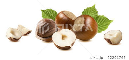 Hazelnut horizontal composition 9 isolated  22201765