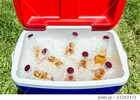Bottles of beer in cooler box with ice 22203373