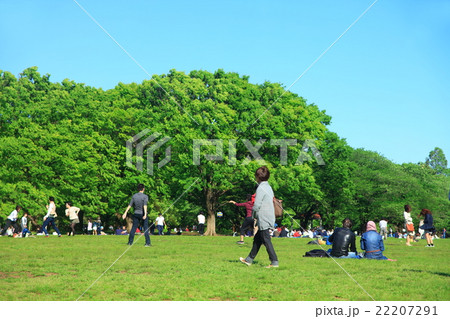 代々木公園の中央広場でピクニックをする人々の写真 代々木公園の中央広場でピクニックをする人々の写真 22207291