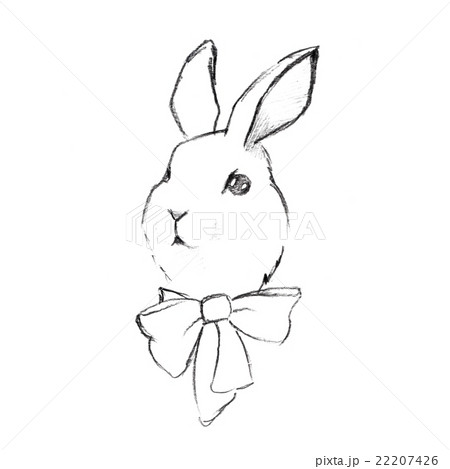 Rabbit Pencil Drawing Vector Images over 520