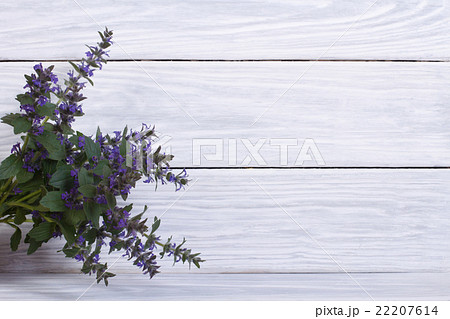 Blue penstemon flowers on a wooden background 22207614