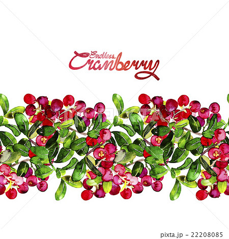 Watercolor Cranberry Borderのイラスト素材