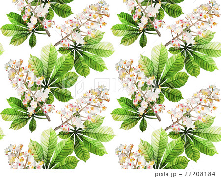 Watercolor chestnut seamless pattern 22208184