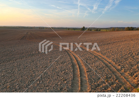 Agircutural field in late sunlight 22208436
