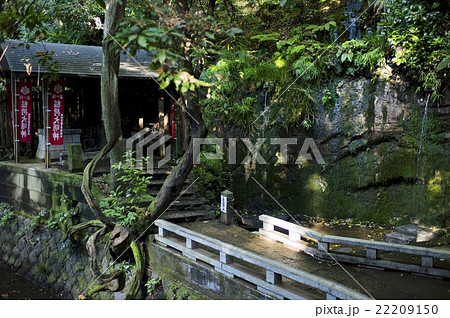 等々力渓谷 等々力渓谷 22209150