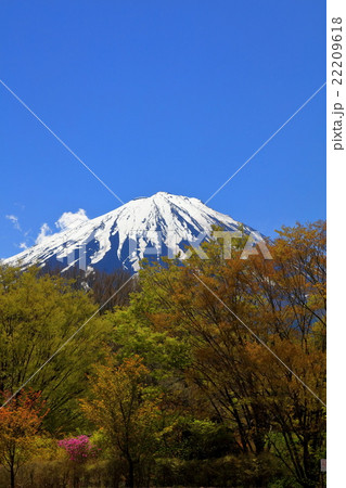 新緑と富士山 22209618