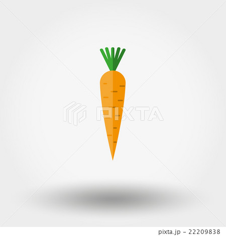 Carrot icon. Flat. Carrot icon. Flat. 22209838
