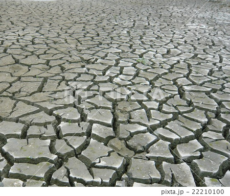 干上がった池底 22210100