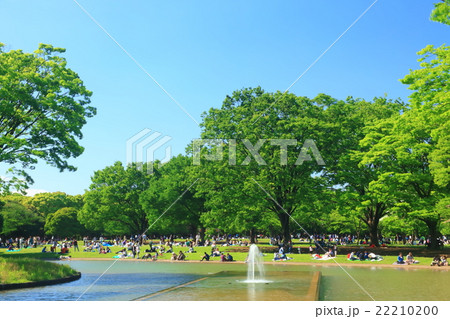 代々木公園の水景施設周辺の風景の写真 代々木公園の水景施設周辺の風景の写真 22210200