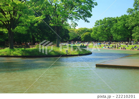 代々木公園の水景施設周辺の風景の画像 代々木公園の水景施設周辺の風景の画像 22210201