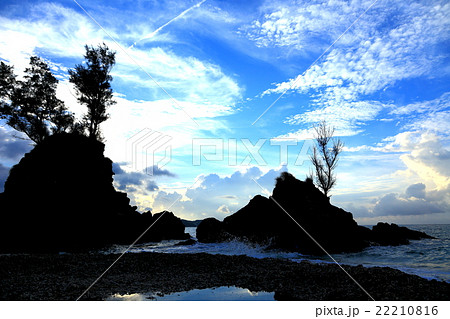 ジュゴンの棲む海 22210816