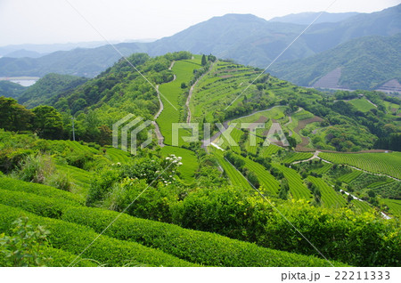 宮崎県延岡市の日向灘の海を背景に日本の里100選に選ばれた風景、地下の茶山 22211333