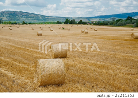 Agricultural field with bales 22211352