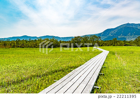 箱根の風景(神奈川県足柄下郡箱根町、箱根湿生花園) 22211395
