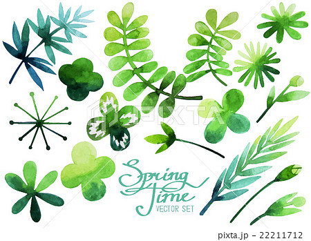 Watercolor Spring Plantsのイラスト素材 22211712 Pixta