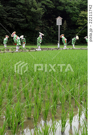 御田植え祭り 22211742