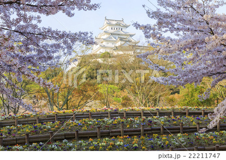 彩りの姫路城 彩りの姫路城 22211747