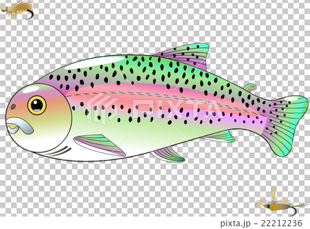 Rainbow trout flying Rainbow trout flying 22212236