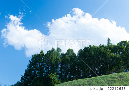 夏のイメージ 22212653