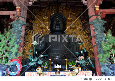 東大寺大仏（2016.4） 22213161