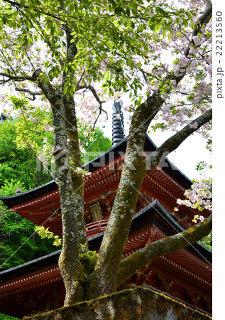 法輪寺　多宝塔（2016.4） 22213560