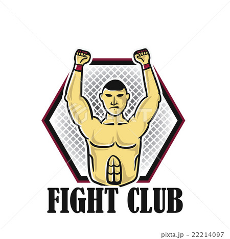Fighter 22214097