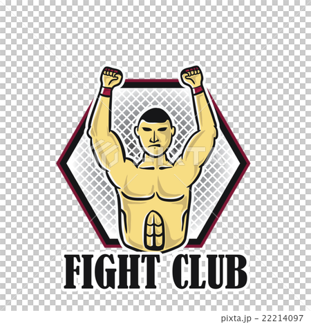Fighter 22214097