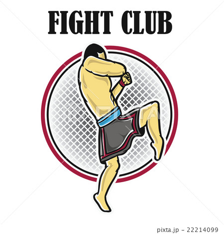Fighter 22214099