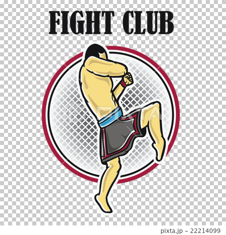 Fighter 22214099