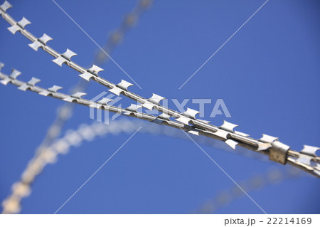 かみそり有刺鉄線 かみそり有刺鉄線 22214169