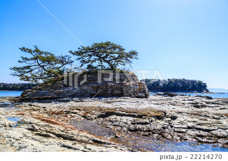 佐久島 大島の女子岩 佐久島 大島の女子岩 22214270