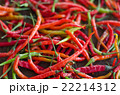 several red hot chili peppers, 22214312